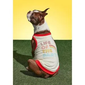 Brass Monkey Tanque para perros_2