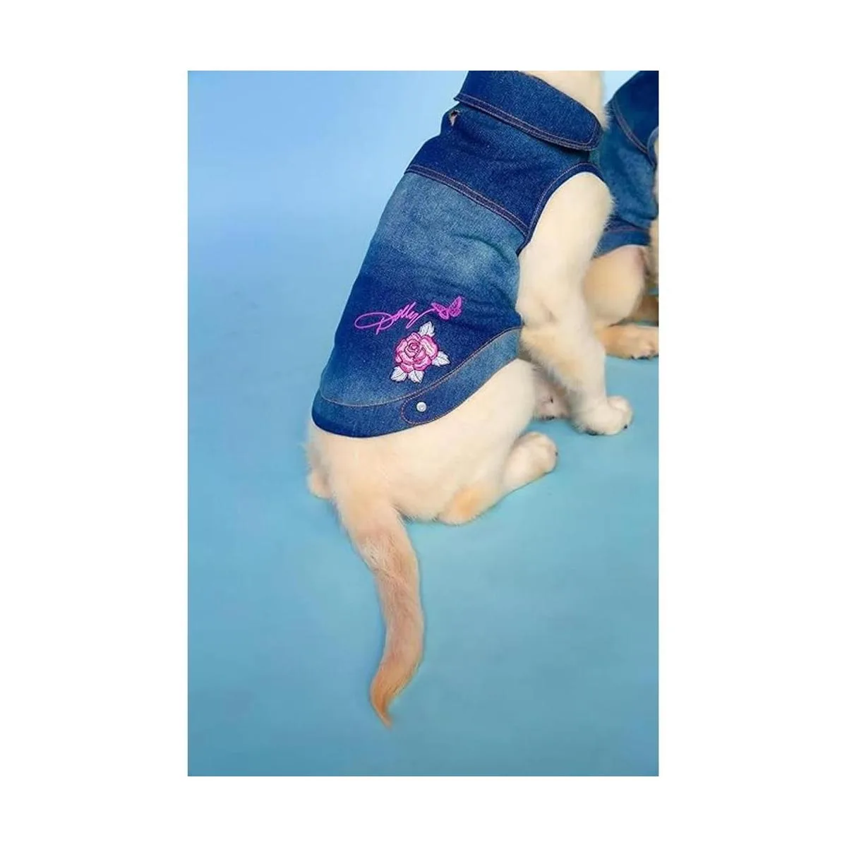 Dolly Doggy Parton Chaqueta de mezclilla azul con cuello_2
