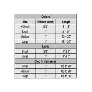 Collar de perro de NCAA Multicolor S_3