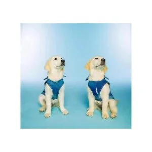 Dolly Doggy Parton Chaqueta de mezclilla azul con cuello_5