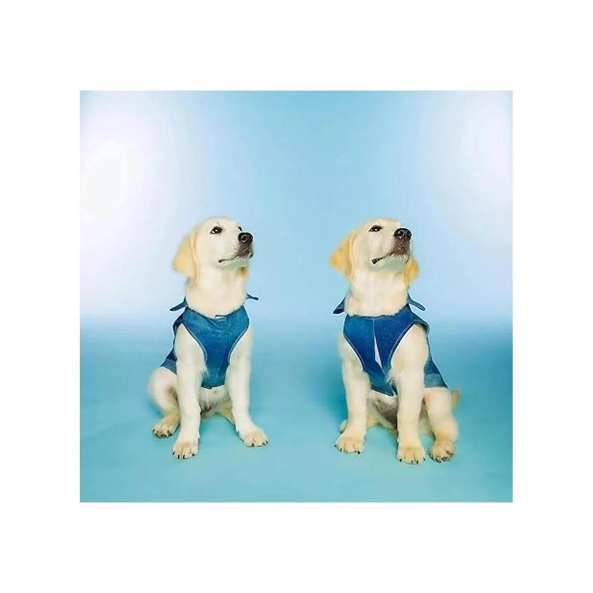 Dolly Doggy Parton Chaqueta de mezclilla azul con cuello_5