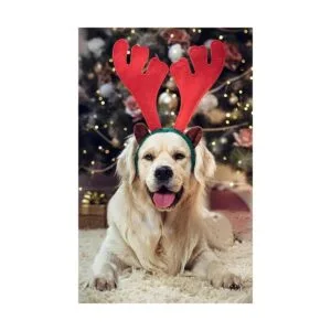 BWOGUE Juego de diademas de cuernos de reno de alce de_6