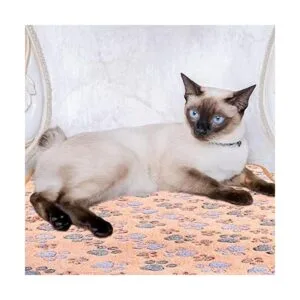 8 mantas para perros y gatos mantas suaves de terciopelo_5
