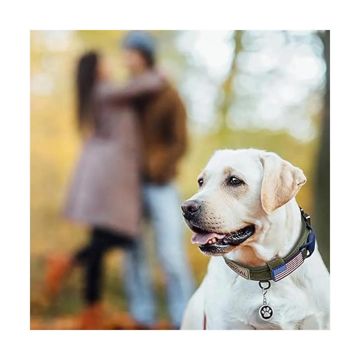 OEBEESA Collar táctico para perro collar militar_2