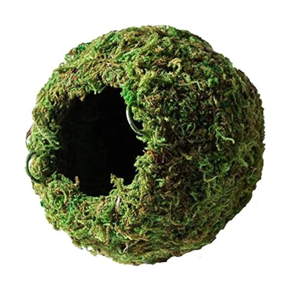 Galápagos 05346 Mossy Cave Cueva 4 pulgadas verde_1