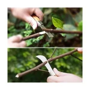 Cuchillo de injerto de jardín con cintas de injerto y_2