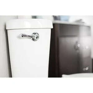 LDR Global Manija de repuesto de mango de inodoro para_4