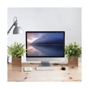 Vlorart Paquete de 2 plantas falsas pequeñas de plástico_5