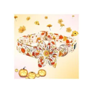 Lionheart glory Collares de perro de alta calidad collar_3