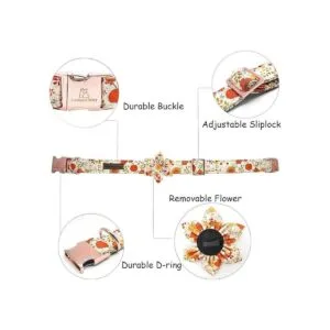 Lionheart glory Collares de perro de alta calidad collar_2