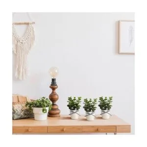 Decoración de bandeja escalonada de granja mini_6