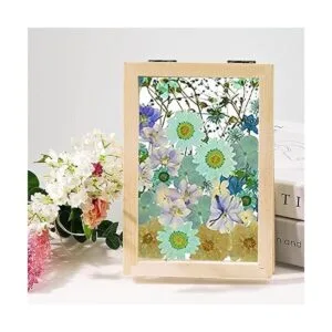 Cayway Juego de 8 flores secas para manualidades 5.0 x_5