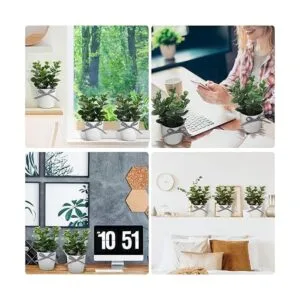 Decoración de bandeja escalonada de granja mini_7