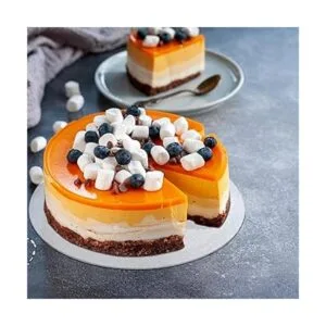 Mezchi Paquete de 6 hojas acrílicas redondas disco_6