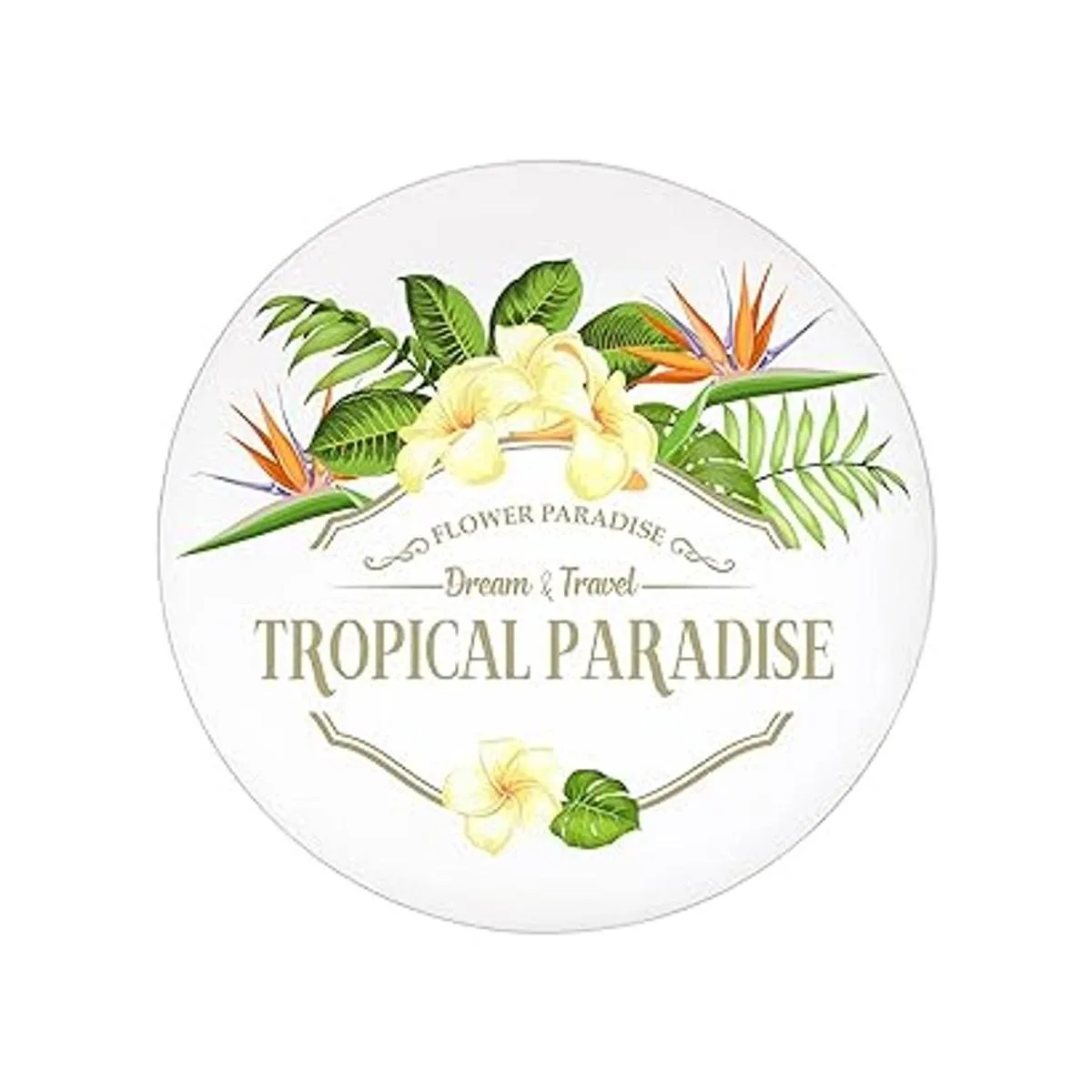 Mezchi Paquete de 6 hojas acrílicas redondas disco_5