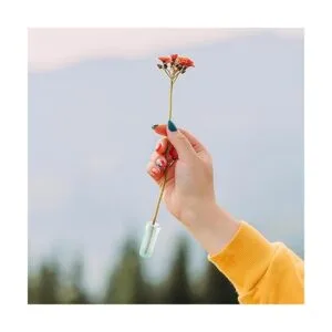 Paquete de 200 tubos de agua florales de 1.6 pulgadas con_7