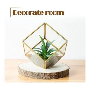 OBTANIM 5 piezas de rebanadas de madera natural de 7 a 8_7