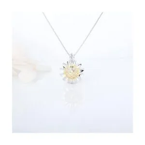 LGSY Colgantes de jaula de perlas de girasol de plata_5