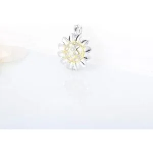 LGSY Colgantes de jaula de perlas de girasol de plata_4