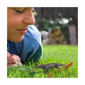 Figura de lagarto de plástico juguete de dragón barbudo_3