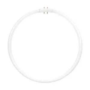 Sunlite FC40T5SP841 Luces de techo fluorescentes de 40 W_1