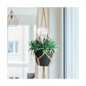 AOPANDA Plant Watering Globes Self Watering Flower Pot_2