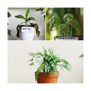 AOPANDA Plant Watering Globes Self Watering Flower Pot_5