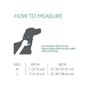 RC Pets Collar ajustable para perro de 112 pulgadas de_2