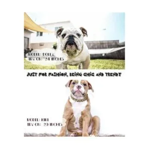 Collar de perro con eslabones cubanos collar de cadena_3