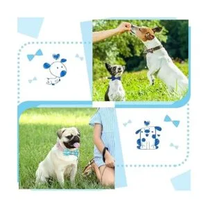 16 corbatas para perro lazos para el verano estilo_4