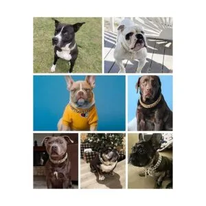 Collar de perro con eslabones cubanos collar de cadena_6