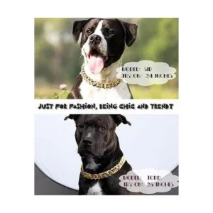 Collar de perro con eslabones cubanos collar de cadena_4