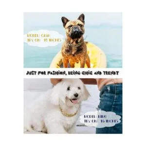 Collar de perro con eslabones cubanos collar de cadena_2