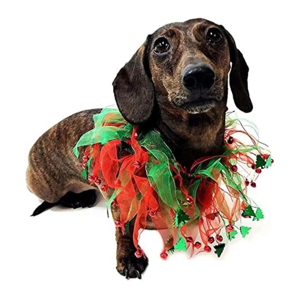 Midlee Jingle Bells and Christmas Trees Collar decorativo_1