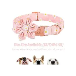 Babole Pet Collar de perro collar de flor de margarita_6