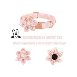 Babole Pet Collar de perro collar de flor de margarita_5