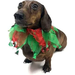 Midlee Jingle Bells and Christmas Trees Collar decorativo_5