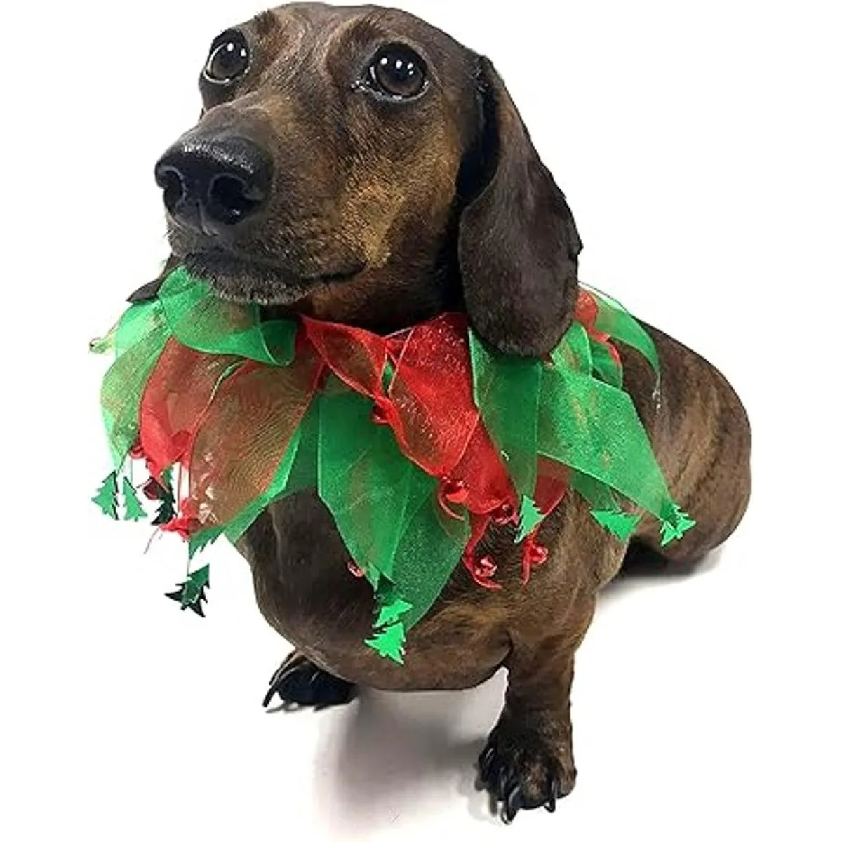 Midlee Jingle Bells and Christmas Trees Collar decorativo_5