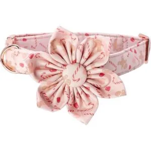 Unique style paws Collar de perro con flor collar de_6