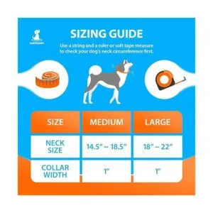 SparklyPets Collar de perro resistente con asa para perros_2