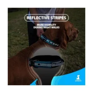 SparklyPets Collar de perro resistente con asa para perros_5