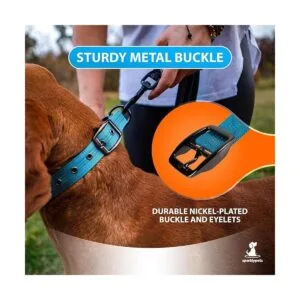 SparklyPets Collar de perro resistente con asa para perros_4