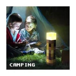 Lámpara de antorcha con montaje en pared luz nocturna LED_5