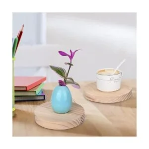 Yangbaga 5PCS Unfinished Natural Wood Slices5.9inch Round_5