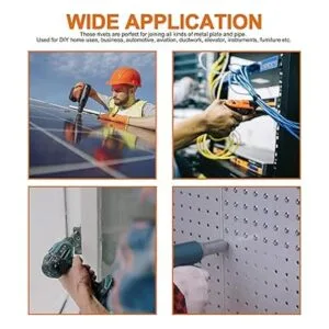 ISPINNER 100 remaches de acero inoxidable de 316 x 12_6