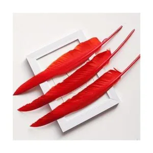 50 plumas rojas con 10 12 pulgadas de largo hermosa_3