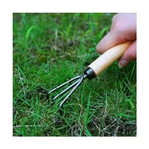 NV Juego de herramientas bonsái_7