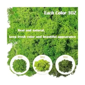 Musgo decorativo artificial preservado verde musgo de 9_2