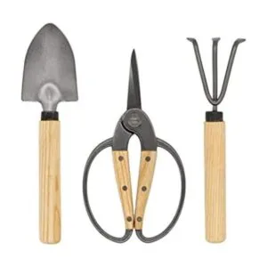 NV Juego de herramientas bonsái_1