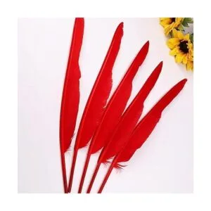 50 plumas rojas con 10 12 pulgadas de largo hermosa_4